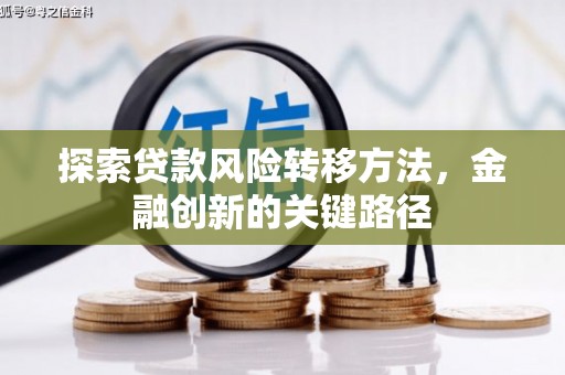 水林探索贷款风险转移方法，金融创新的关键路径