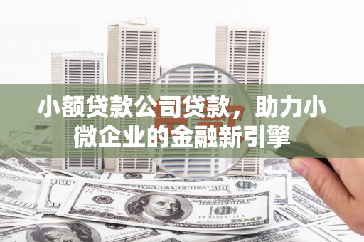 水林小额贷款公司贷款，助力小微企业的金融新引擎