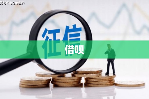 水林借呗