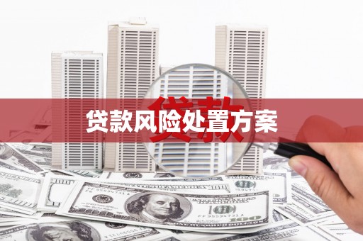 水林贷款风险处置方案
