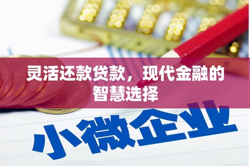 水林灵活还款贷款，现代金融的智慧选择