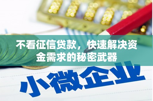 水林不看征信贷款，快速解决资金需求的秘密武器