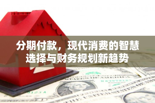 水林分期付款，现代消费的智慧选择与财务规划新趋势