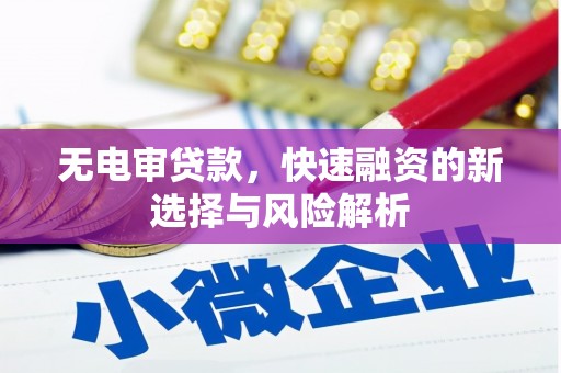 水林无电审贷款，快速融资的新选择与风险解析