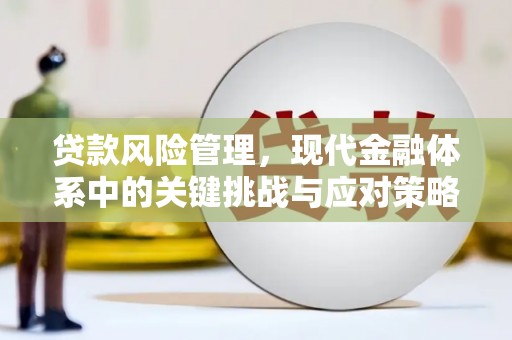 水林贷款风险管理，现代金融体系中的关键挑战与应对策略