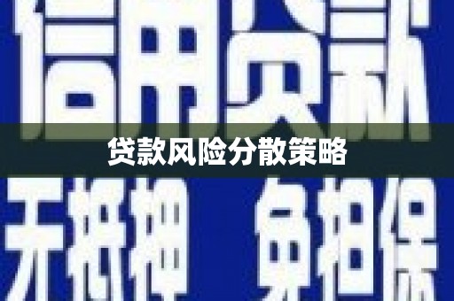 水林贷款风险分散策略