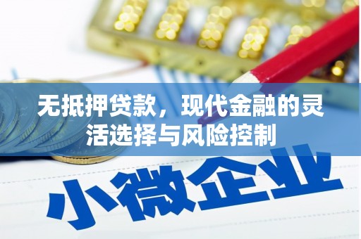 水林无抵押贷款，现代金融的灵活选择与风险控制