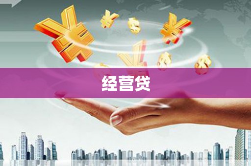 水林经营贷
