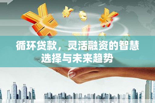 水林循环贷款，灵活融资的智慧选择与未来趋势