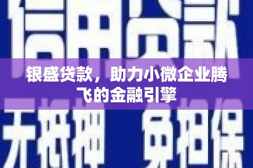 水林银盛贷款，助力小微企业腾飞的金融引擎