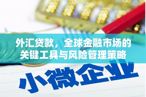 水林外汇贷款，全球金融市场的关键工具与风险管理策略