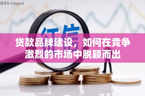 水林贷款品牌建设，如何在竞争激烈的市场中脱颖而出
