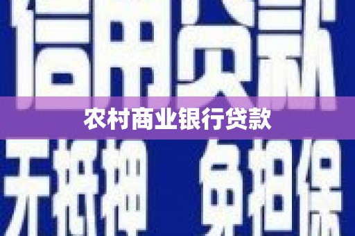 水林农村商业银行贷款