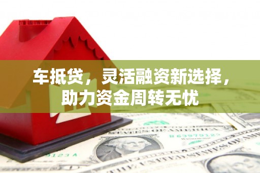水林车抵贷，灵活融资新选择，助力资金周转无忧