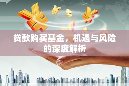 水林贷款购买基金，机遇与风险的深度解析