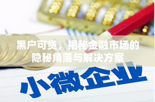 水林黑户可贷，揭秘金融市场的隐秘角落与解决方案