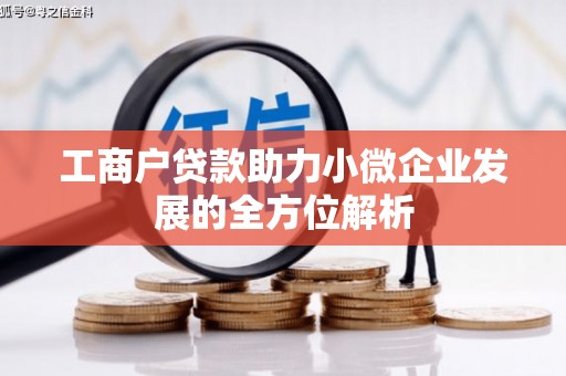 水林工商户贷款助力小微企业发展的全方位解析