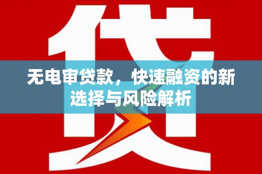 水林无电审贷款，快速融资的新选择与风险解析