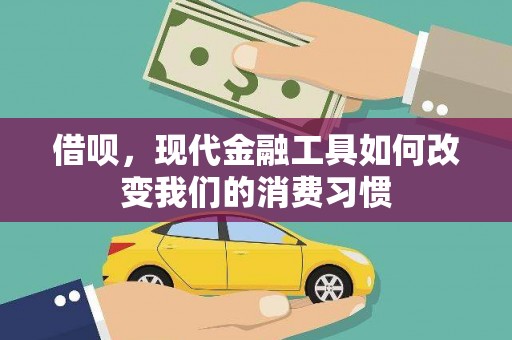 水林借呗，现代金融工具如何改变我们的消费习惯