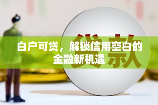 水林白户可贷，解锁信用空白的金融新机遇