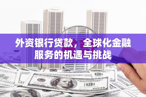 水林外资银行贷款，全球化金融服务的机遇与挑战