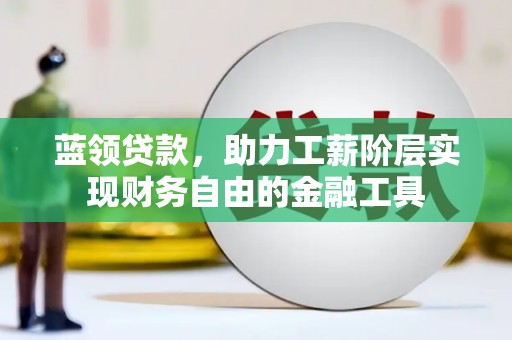 水林蓝领贷款，助力工薪阶层实现财务自由的金融工具