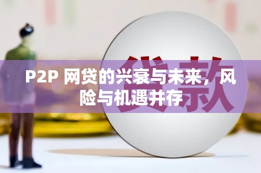 水林P2P 网贷的兴衰与未来，风险与机遇并存