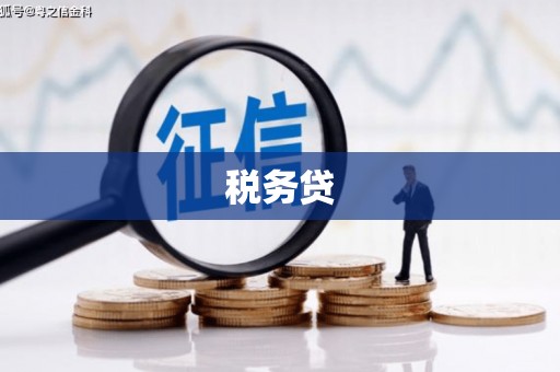 水林税务贷