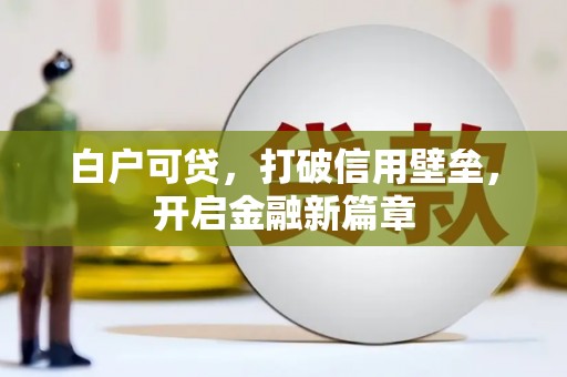 水林白户可贷，打破信用壁垒，开启金融新篇章