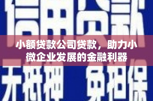 水林小额贷款公司贷款，助力小微企业发展的金融利器