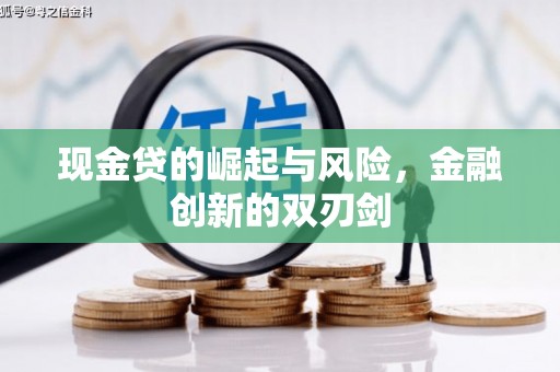 水林现金贷的崛起与风险，金融创新的双刃剑