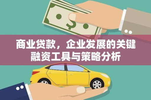 水林商业贷款，企业发展的关键融资工具与策略分析