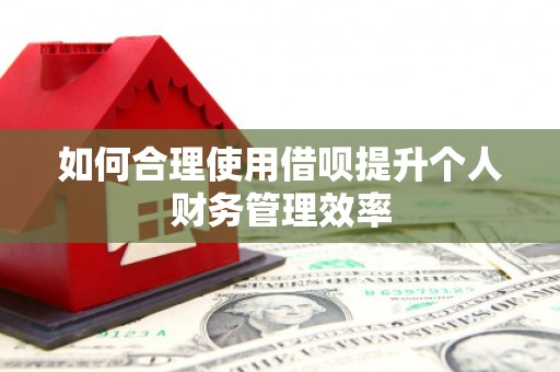 水林如何合理使用借呗提升个人财务管理效率