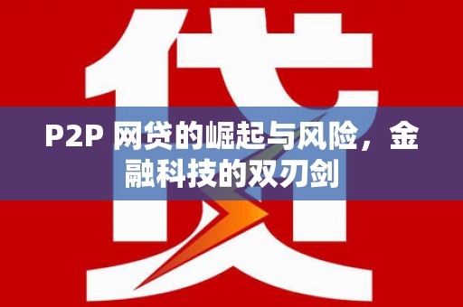 水林P2P 网贷的崛起与风险，金融科技的双刃剑