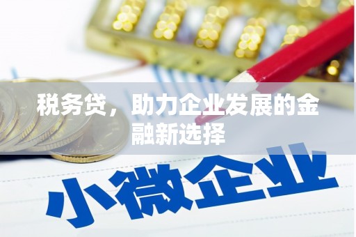 水林税务贷，助力企业发展的金融新选择