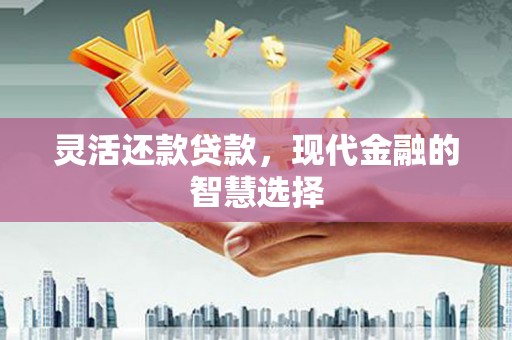 水林灵活还款贷款，现代金融的智慧选择