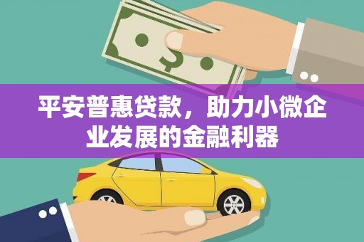 水林平安普惠贷款，助力小微企业发展的金融利器
