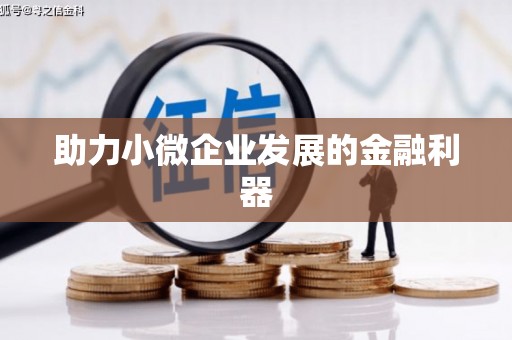 水林助力小微企业发展的金融利器