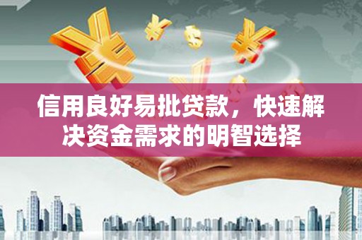 水林信用良好易批贷款，快速解决资金需求的明智选择
