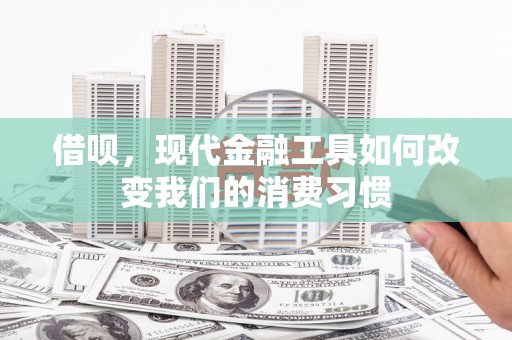 水林借呗，现代金融工具如何改变我们的消费习惯