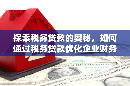 水林探索税务贷款的奥秘，如何通过税务贷款优化企业财务