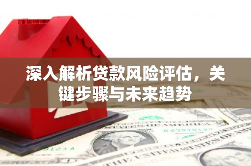 水林深入解析贷款风险评估，关键步骤与未来趋势