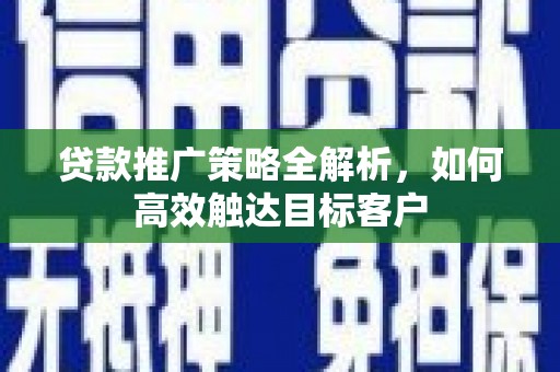 水林贷款推广策略全解析，如何高效触达目标客户