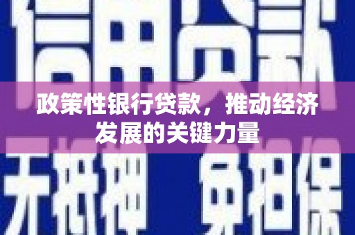水林政策性银行贷款，推动经济发展的关键力量
