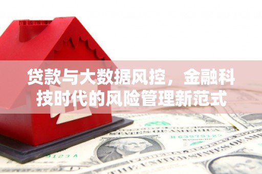 水林贷款与大数据风控，金融科技时代的风险管理新范式