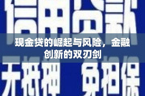 水林现金贷的崛起与风险，金融创新的双刃剑