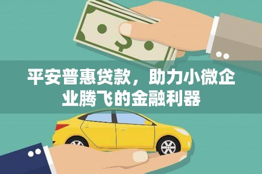 水林平安普惠贷款，助力小微企业腾飞的金融利器