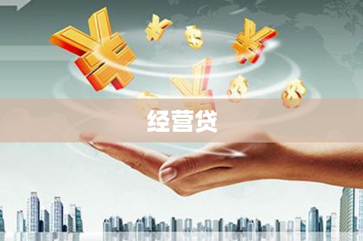 水林经营贷