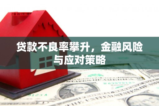 水林贷款不良率攀升，金融风险与应对策略