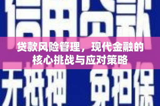 水林贷款风险管理，现代金融的核心挑战与应对策略